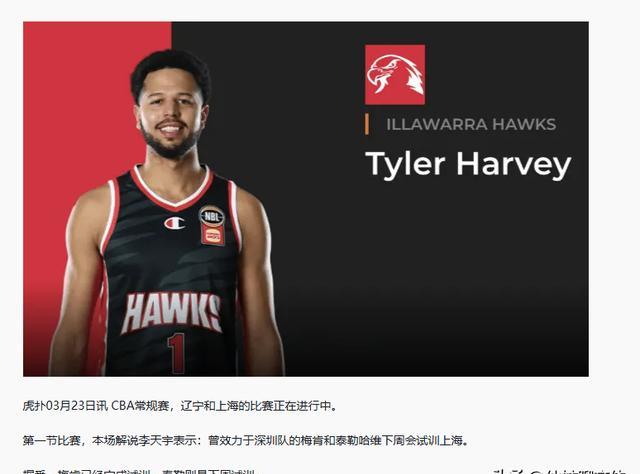 本赛季外援表现亮眼，引发热议！